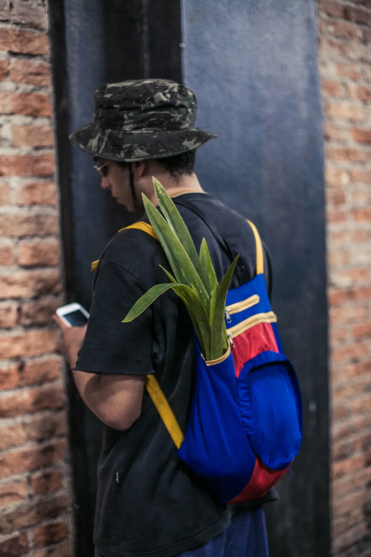 Notivago, foto de Felipe Gabriel